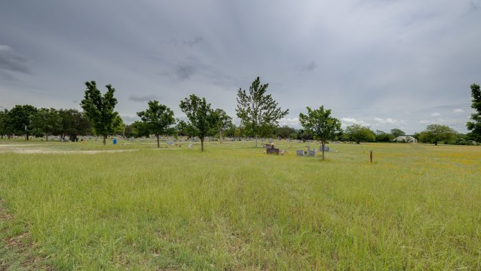 3W8A0239HDR454839
